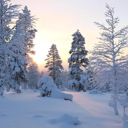 Daire Kielo In Center Near The Main Spots, Wifi *