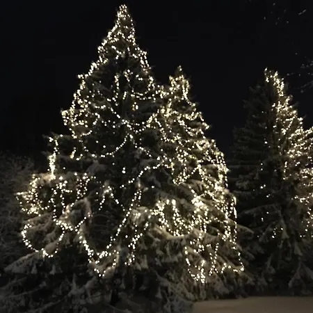 Kielo In Center Near The Main Spots, Wifi