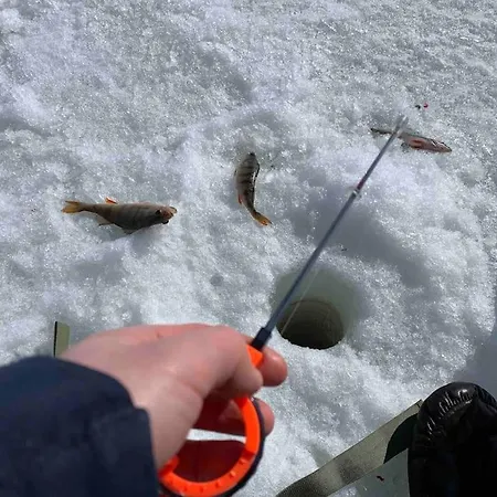 Kielo In Center Near The Main Spots, Wifi アパート *