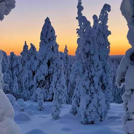 アパート Kielo In Center Near The Main Spots, Wifi