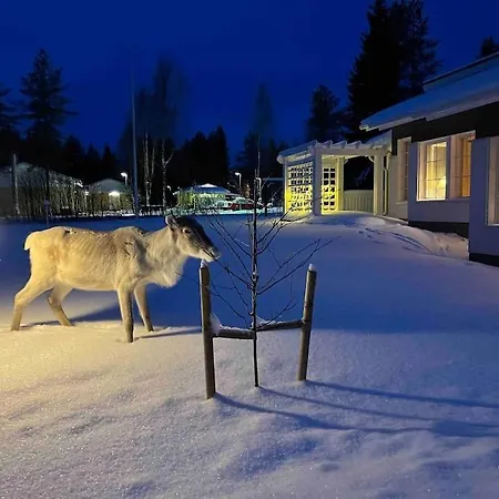 Kielo In Center Near The Main Spots, Wifi ロヴァニエミ