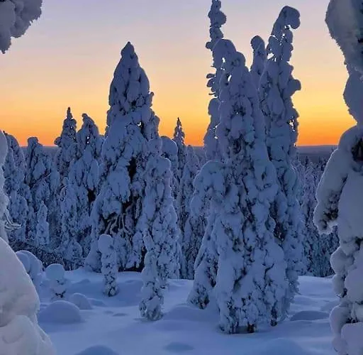 公寓 Kielo In Center Near The Main Spots, Wifi